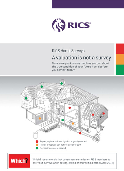 Which RICS Survey Leaflet PDF Download